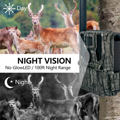 Keepguard 4G دوربین های جنگل با کنترل از راه دور 36MP 2K / 30fps Wild Game