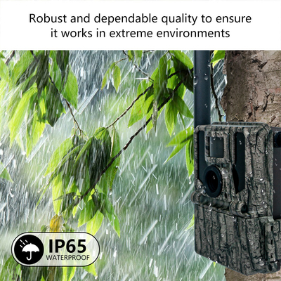 Keepguard 4G دوربین های جنگل با کنترل از راه دور 36MP 2K / 30fps Wild Game