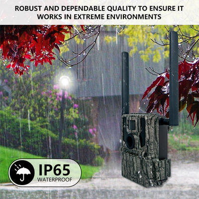 اپلیکیشن کنترل از راه دور دوربین ردیابی GPS