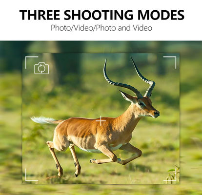 اپلیکیشن کنترل از راه دور دوربین ردیابی GPS