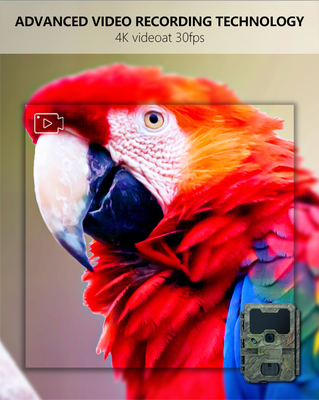 KW866 WIFI مسیر شکار حیوانات وحشی دوربین ضد آب IP67 OEM / ODM 512GB ذخیره سازی کارت حافظه SD 32MP 4K استفاده آسان