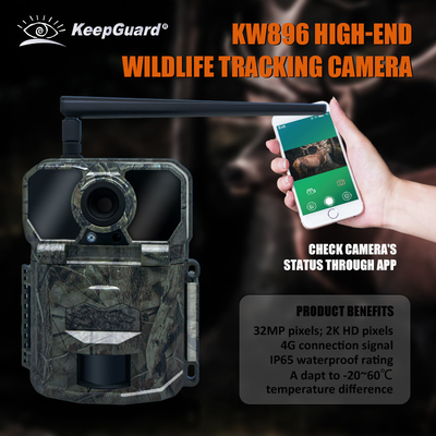 KW896 دوربین ردیابی حیات وحش شکار 4G دوربین ردیابی تلفن همراه کارخانه فروش OEM ODM دوربین نظارت بر حیات وحش