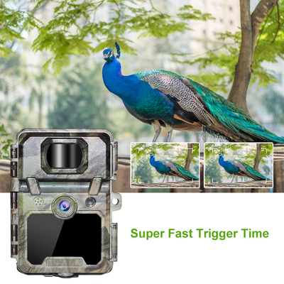 KW571 فابریک OEM ODM Mini Wildlife Scouting Timelapse Trail Camera IP67 سنسور CMOS بدون نور و حافظه SD دید شبانه