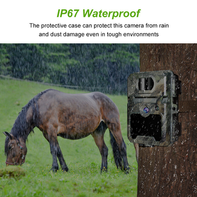 KW561 Wildlife Trail Infra Cam Mini 30MP 0.25s سرعت وضوح ویدیو 4K سنسور CMOS ضد آب حافظه SD دید شب