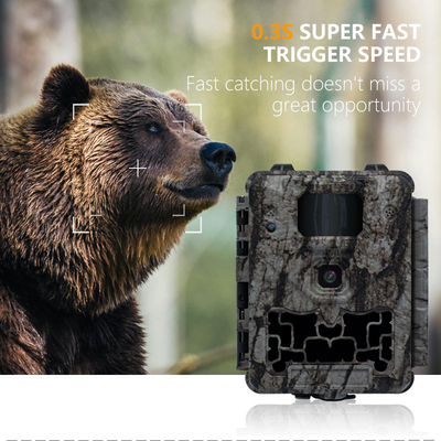 KW561 Trail Infra Cam Mini 30MP 0.25s سرعت وضوح ویدئو 4K سنسور آبپاش CMOS SD Me