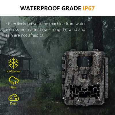 KW561 Trail Infra Cam Mini 30MP 0.25s سرعت وضوح ویدئو 4K سنسور آبپاش CMOS SD Me
