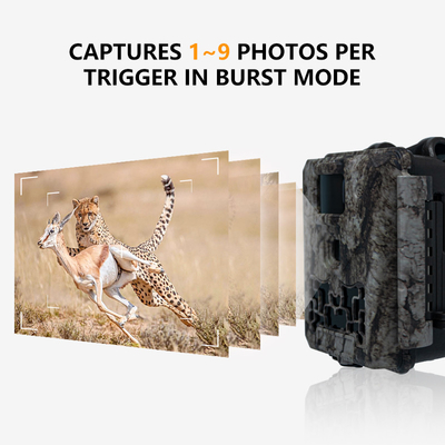 KW561 Trail Infra Cam Mini 30MP 0.25s سرعت وضوح ویدئو 4K سنسور آبپاش CMOS SD Me