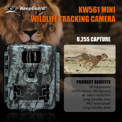 KW561 Trail Infra Cam Mini 30MP 0.25s سرعت وضوح ویدئو 4K سنسور آبپاش CMOS SD Me