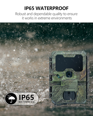 دوربین شکار WIFI KW866 ضد آب IP67 OEM/ODM تا 512GB ذخیره سازی کارت حافظه SD 32MP دوربین حیات وحش 4K