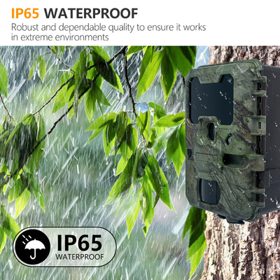 دوربین شکار KW788 ضد آب IP67 ویدیو 4K 32MP آسان حرکت ساده استفاده قوی ساعت کار طولانی