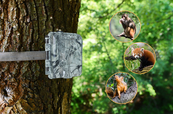 KG45 TRAMP CAMERA ALARM TRAIL برای حمایت از شکار 1 ~ 5 شماره تلفن همراه علاقه مندان تماس برای ارسال SMS پاسخ سریع