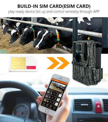 دوربین های شکار و مسیر پانل خورشیدی 4G دوربین بی سیم KW897 با آنتن دوگانه 100 فوت شبانه 36MP 2K ویدیو در 30fps