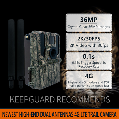 دوربین ردیابی بی سیم 4G پیشرفته 2024 جدیدترین KW897 با آنتن های دوگانه 36MP 2K 0.1s سرعت شلیک با دید شبانه برای تحقیقات حیات وحش