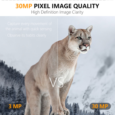 دوربین 4G KW895 با APP 2K FHD Video تصویر 30MP ضد آب IP67 تا 512GB ذخیره سازی برای تحقیقات حیات وحش