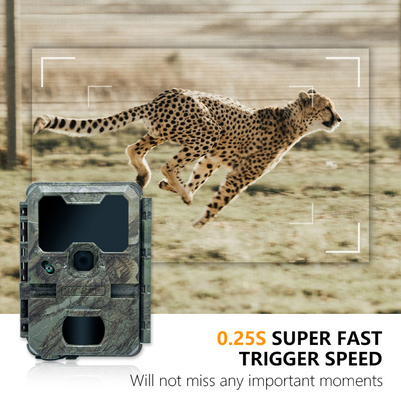 دوربین شکار شب با اندازه کوچک KW788 0.1s 32MP تصویر تیز 4K ویدئو ضد آب IP67 برای شکار