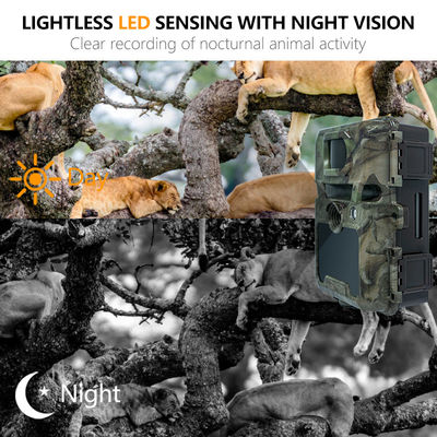 دوربینهای شکار HD قابل تنظیم برای شناسایی حیات وحش با پشتیبانی از کارت حافظه 512 گیگابایتی