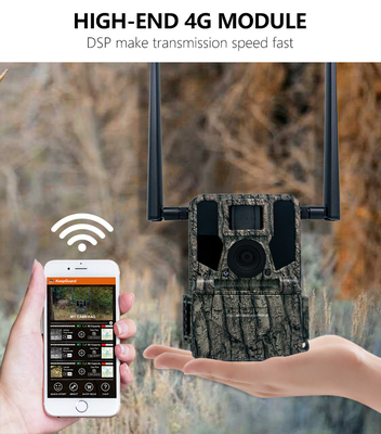 GMS پیشرفته برای 4G دوربین شکار KW897 با آنتن های دوگانه 100ft Night Range Night Vision 36MP 2K ویدیو برای تحقیقات حیات وحش