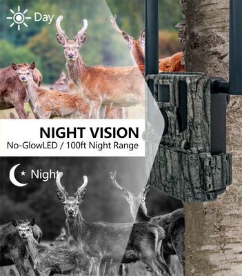 GMS پیشرفته برای 4G دوربین شکار KW897 با آنتن های دوگانه 100ft Night Range Night Vision 36MP 2K ویدیو برای تحقیقات حیات وحش