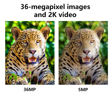 دوربین شکار بی سیم 4G KW897 ساخته شده در سیم کارت 36MP ضبط ویدیو 2K با 30fps با آنتن های دوگانه برای حیات وحش