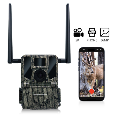 دوربین شکار بی سیم 4G KW897 ساخته شده در سیم کارت 36MP ضبط ویدیو 2K با 30fps با آنتن های دوگانه برای حیات وحش