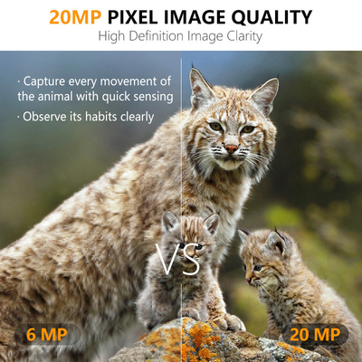 دوربین شکار 20MP 1080P دوربین حیات وحش ضد آب IP67 بازی و آزمایش دوربین تا 512GB ذخیره سازی تا 82 فوت