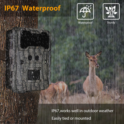 دوربین شکار دو عدسی KW696 سرعت پاسخ OEM / ODM 0.4s 1080P / 30MP ضد آب IP67 100 فوت شبانه برای شکار حیوانات وحشی