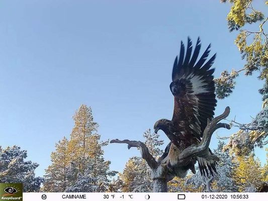 دوربین IP65 ضد آب 4G