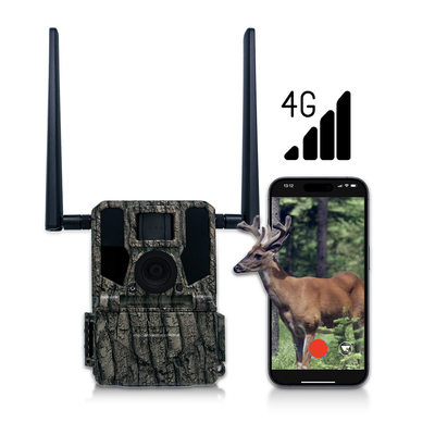دوربین های شکار و مسیر پانل خورشیدی 4G دوربین بی سیم KW897 با آنتن دوگانه 100 فوت شبانه 36MP 2K ویدیو در 30fps
