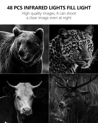 Game&trail Camera 4G KW886 با آنتن دوربین شکار مقرون به صرفه 24MP 1080P Night Vision 0.1s Response Time Game Camera