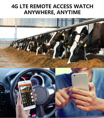 با دوربین 4G Trail عملکرد بینظیری را تجربه کنید. راهحل ایدهآل برای نظارت بر حیات وحش