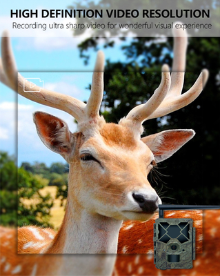 Game&trail Camera 4G KW886 با آنتن دوربین شکار مقرون به صرفه 24MP 1080P Night Vision 0.1s Response Time Game Camera