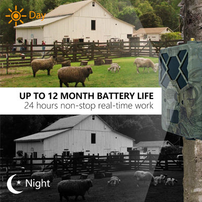 با دوربین 4G Trail عملکرد بینظیری را تجربه کنید. راهحل ایدهآل برای نظارت بر حیات وحش