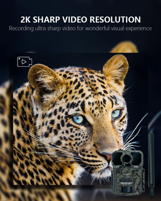 4G تلفن همراه ردیاب دوربین سریع شلیک 1-9 ضبط 32MP کنترل APP پنل خورشیدی لوازم جانبی شکار