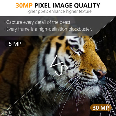 دوربین مداربسته KW591 بدون نور با سنسورهای دوگانه 1080P ضد آب IP67 0.4s تا 512GB ذخیره سازی برای شکار