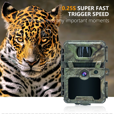 دوربین کمکی بی سیم برای شناسایی حیات وحش با پوشش 30MP IP66 ضد آب و عملکرد PIR برای شکار و امنیت