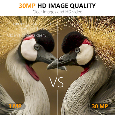 دوربین کمکی بی سیم برای شناسایی حیات وحش با پوشش 30MP IP66 ضد آب و عملکرد PIR برای شکار و امنیت