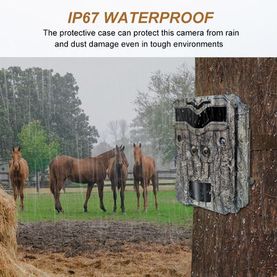 دوربین های شکار HD Keepguard دوربین دو عدسی 32MP بدون درخشش LED Trail Camera 1080P Night Vision دوربین بازی شکار برای حیات وحش