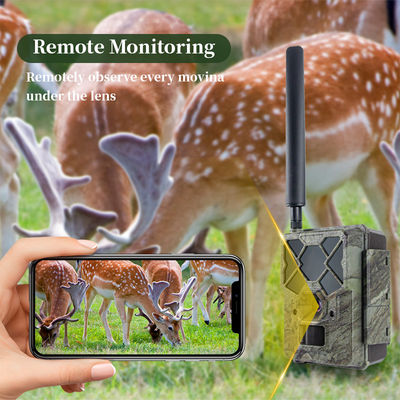 دوربین شکار 4G با کنترل از راه دور KW886 با قابلیت فیلمبرداری 1080p و برد دید در شب 120 فوت