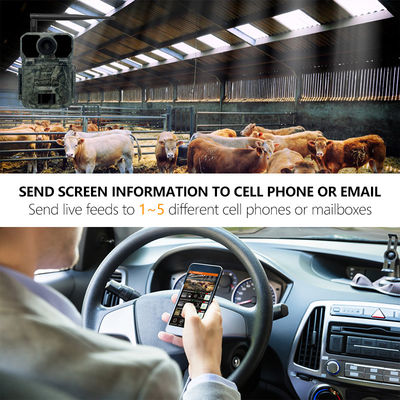 No Glow 0.26s 4G Trail Camera ضد آب Ip65 4g 0.25s GSM MMS