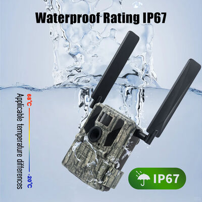 دوربین ردیابی 4G با قابلیت مشاهده از راه دور و محفظه قوی طراحی شده برای گرفتن تصاویر دقیق در مکان های دور افتاده