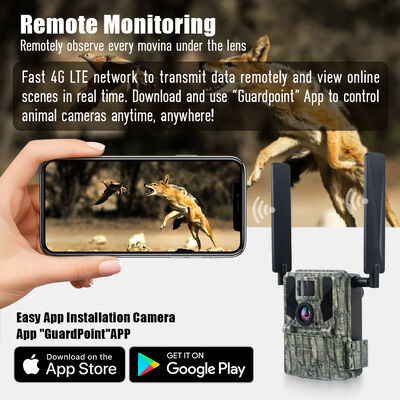 دوربین ردیابی 4G با قابلیت مشاهده از راه دور و محفظه قوی طراحی شده برای گرفتن تصاویر دقیق در مکان های دور افتاده