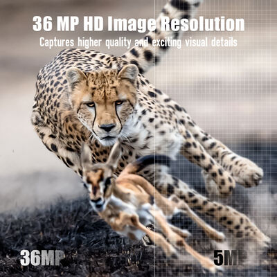 دوربین ردیابی 4G با قابلیت مشاهده از راه دور و محفظه قوی طراحی شده برای گرفتن تصاویر دقیق در مکان های دور افتاده