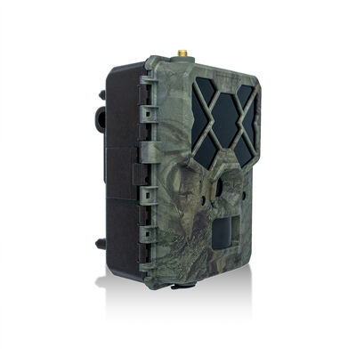 حالت زمان 4G دوربین شکار 1080p Full HD Video Trail Camera مناسب برای مشاهده و امنیت از راه دور حیات وحش