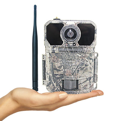 دوربین Keepguard 4.0 برنامه ضد سرقت ضد سرقت LTE GPS Night Vision Cloud Hunting Trail