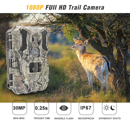 LED مادون قرمز دوربین شکار حیات وحش 30 مگاپیکسل 1080P IP66