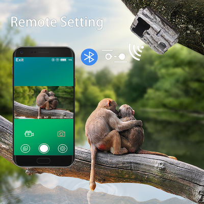 دوربین مسیر شکار در فضای باز WIFI با برنامه موبایل نمایش صفحه نمایش