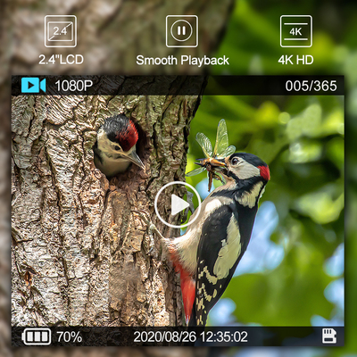 دوربین مسیر شکار در فضای باز WIFI با برنامه موبایل نمایش صفحه نمایش