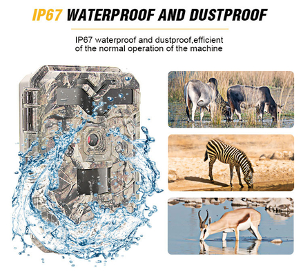 دوربین 30 مگاپیکسلی 1080P HD Hunting Wildlife Trail بدون LED مادون قرمز درخشان