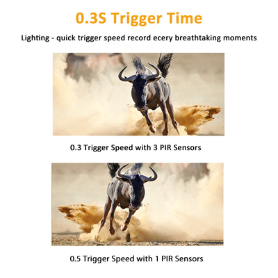 دوربین شکار 940 نانومتری Wildlife Trail No Glow 30 مگاپیکسل 1080P HD 0.3s Trigger