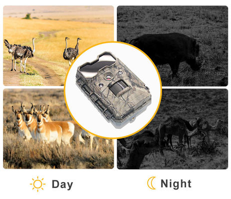 دوربین فعال حرکت حیات وحش